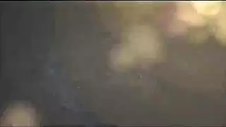 الاخت الربربة