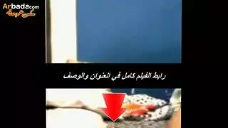 بنت مصريه تسكت اخوها بيقلق عليها