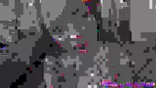 صغير ، عسل أسود ، السكر يركب صخرة صلبة ويئن ، لأنه يشعر بالارتياح